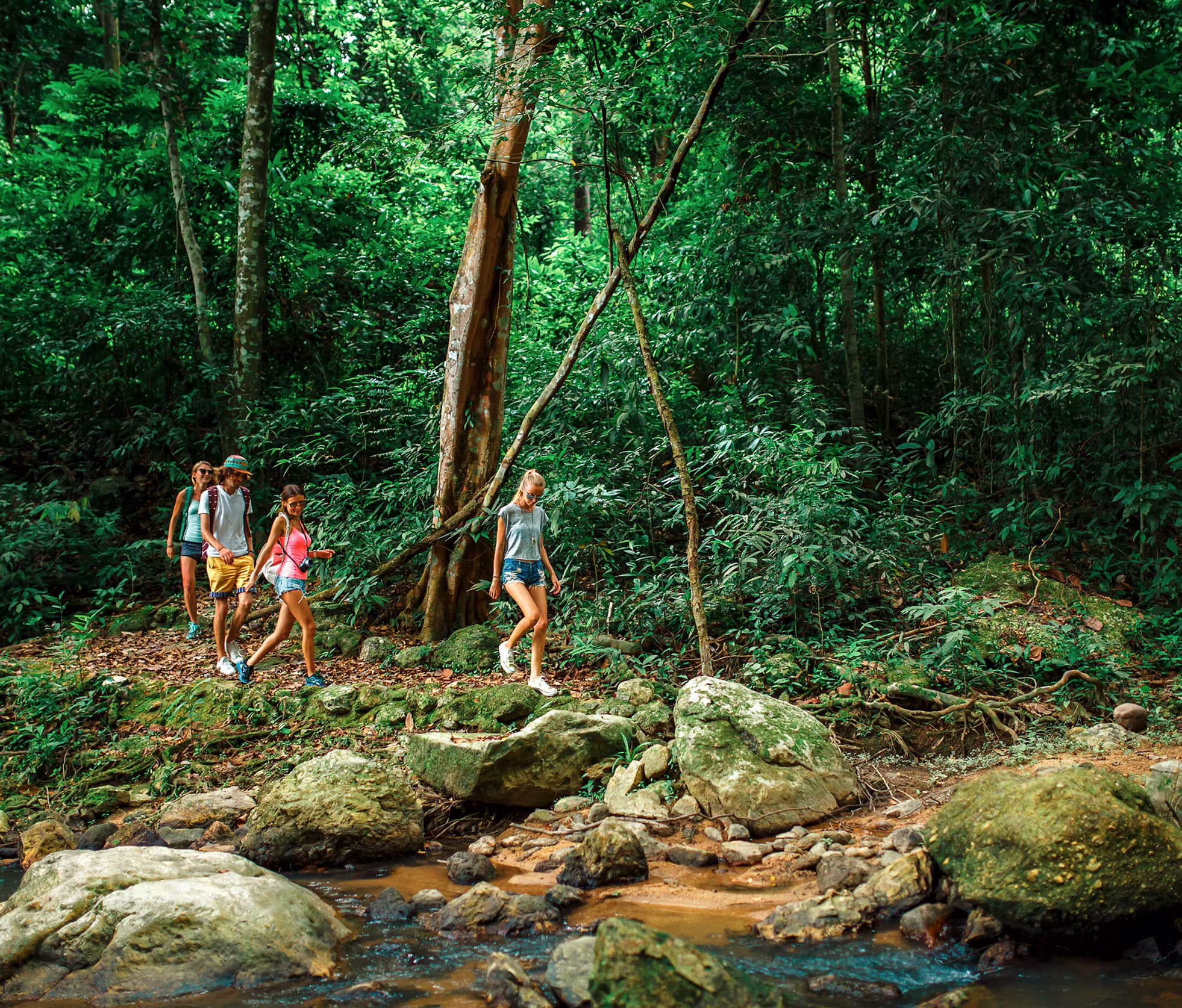 Mount Meru Trek