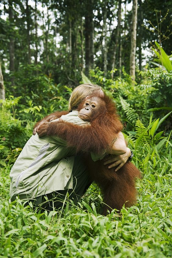 Champions of Conservation