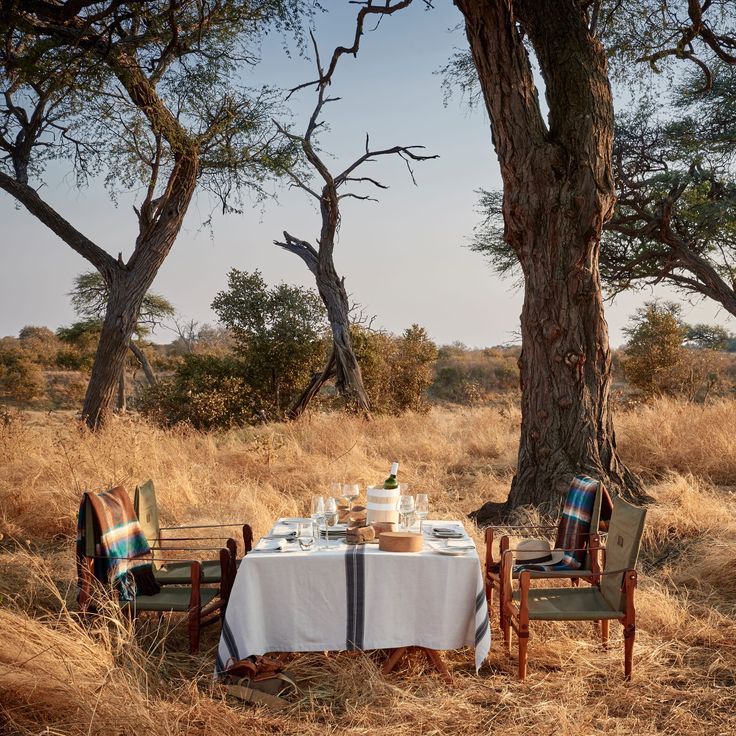 Bush Dining & Sundowners