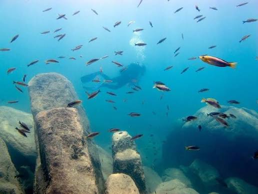 Snorkeling among cichlid fish in Lake Tanganyika