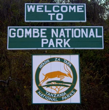 Gombe Stream National Park
