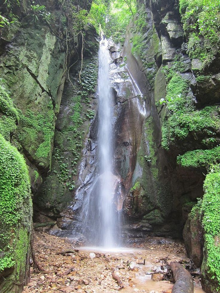 Gombe Stream National Park