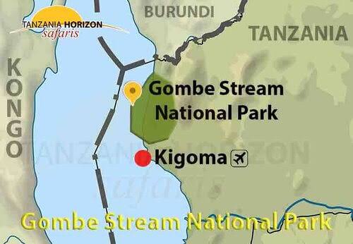 Steep forested hills of Gombe Stream National Park