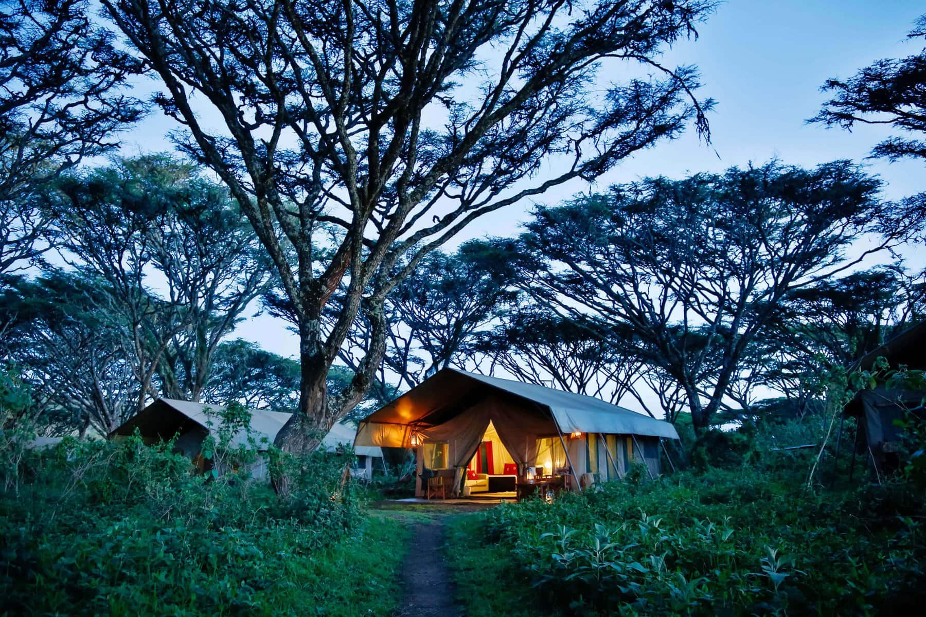 Tanganyika Wilderness Camp