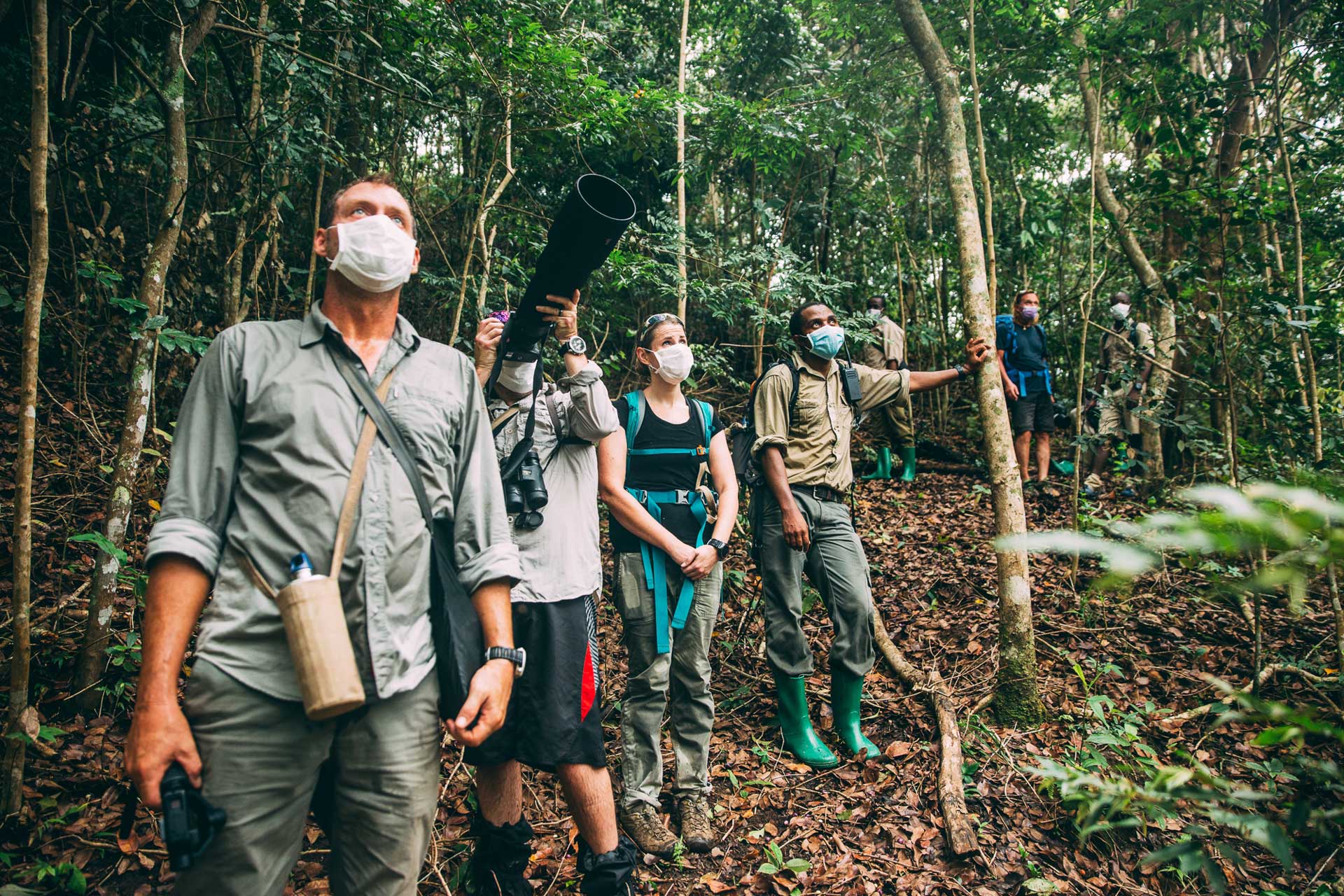 Mahale Rainforest Hike