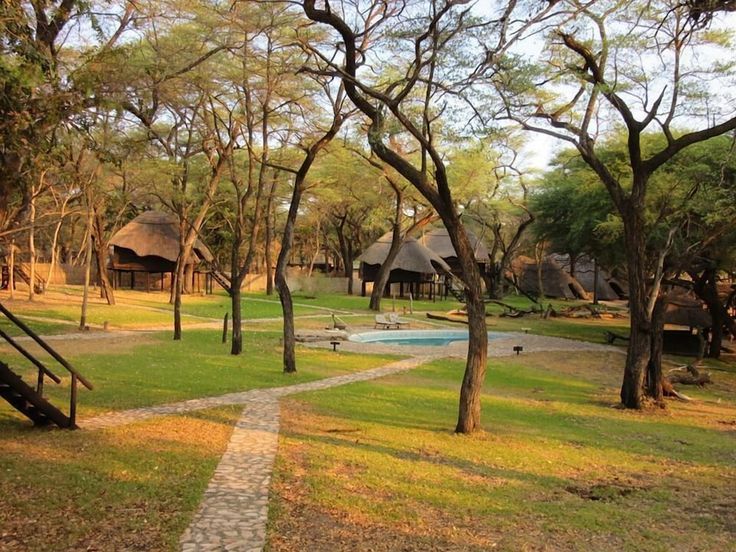 Mikumi Wildlife Camp