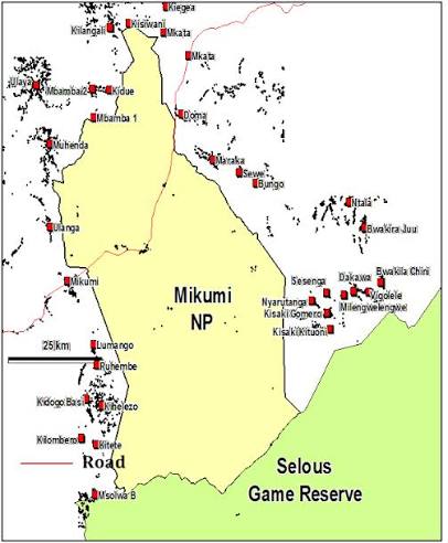Mikumi flood plain with wildlife