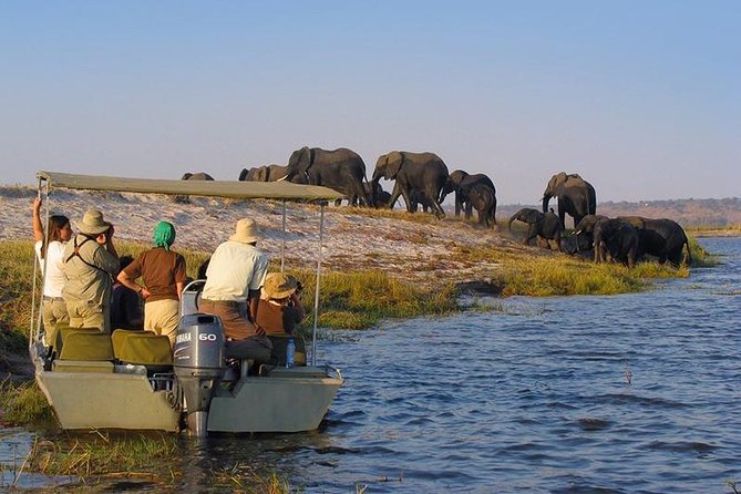 Boat Safari Rufiji River