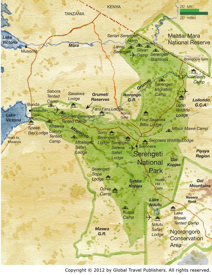 Serengeti vast plains with acacia trees