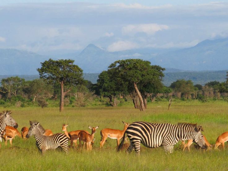 Nyerere boat safari on the Rufiji River