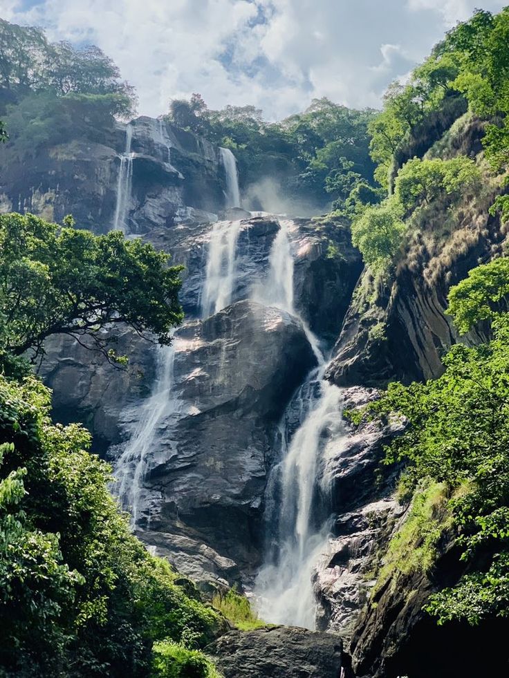 Udzungwa mountain rainforest waterfall