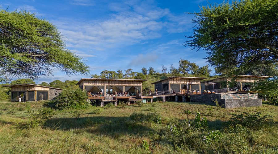 Nomad Lamai Serengeti