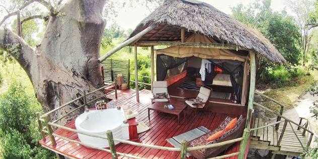Serengeti House